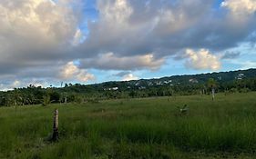 Caribbean Domicile
